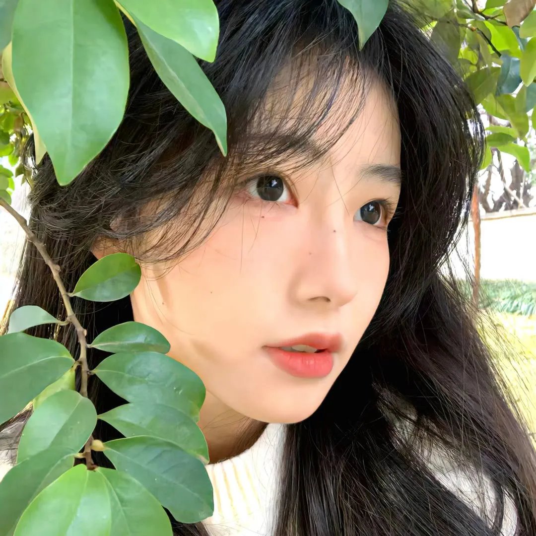 青春无悔